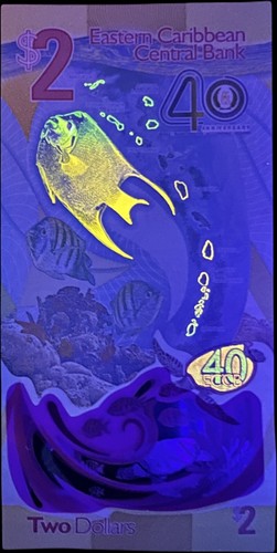 Seller 2024 east eastern - us,